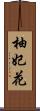 柚妃花 Scroll