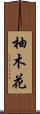 柚木花 Scroll