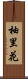 柚里花 Scroll