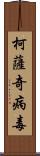 柯薩奇病毒 Scroll