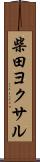 柴田ヨクサル Scroll