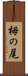 栂の尾 Scroll