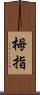 栂指 Scroll