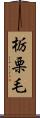 栃栗毛 Scroll