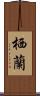 栖蘭 Scroll