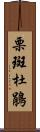 栗斑杜鵑 Scroll