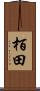栢田 Scroll