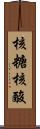核糖核酸 Scroll