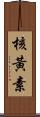 核黃素 Scroll