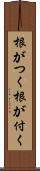 根がつく Scroll