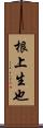 根上生也 Scroll