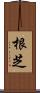 根芝 Scroll