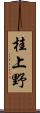 桂上野 Scroll