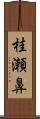 桂瀬鼻 Scroll