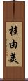 桂由美 Scroll