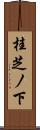 桂芝ノ下 Scroll