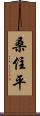 桑住平 Scroll