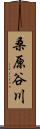 桑原谷川 Scroll