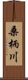 桑柄川 Scroll