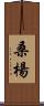 桑楊 Scroll