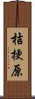 桔梗原 Scroll
