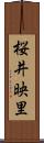 桜井映里 Scroll