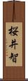 桜井智 Scroll