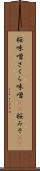 桜味噌 Scroll