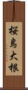 桜島大根 Scroll