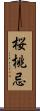 桜桃忌 Scroll