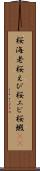 桜海老 Scroll