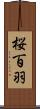 桜百羽 Scroll