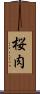桜肉 Scroll