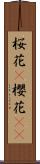 桜花(P);櫻花(sK) Scroll