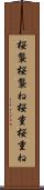 桜襲 Scroll