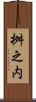 桝之内 Scroll