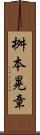桝本晃章 Scroll