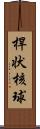 桿状核球 Scroll