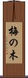 梅の木 Scroll