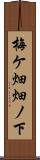 梅ケ畑畑ノ下 Scroll