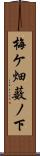梅ケ畑薮ノ下 Scroll