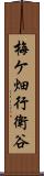 梅ケ畑行衛谷 Scroll