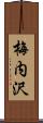 梅内沢 Scroll