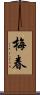 梅春 Scroll
