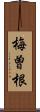 梅曽根 Scroll