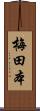 梅田本 Scroll