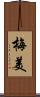 梅美 Scroll