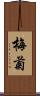 梅菊 Scroll
