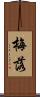 梅落 Scroll