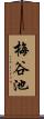 梅谷池 Scroll